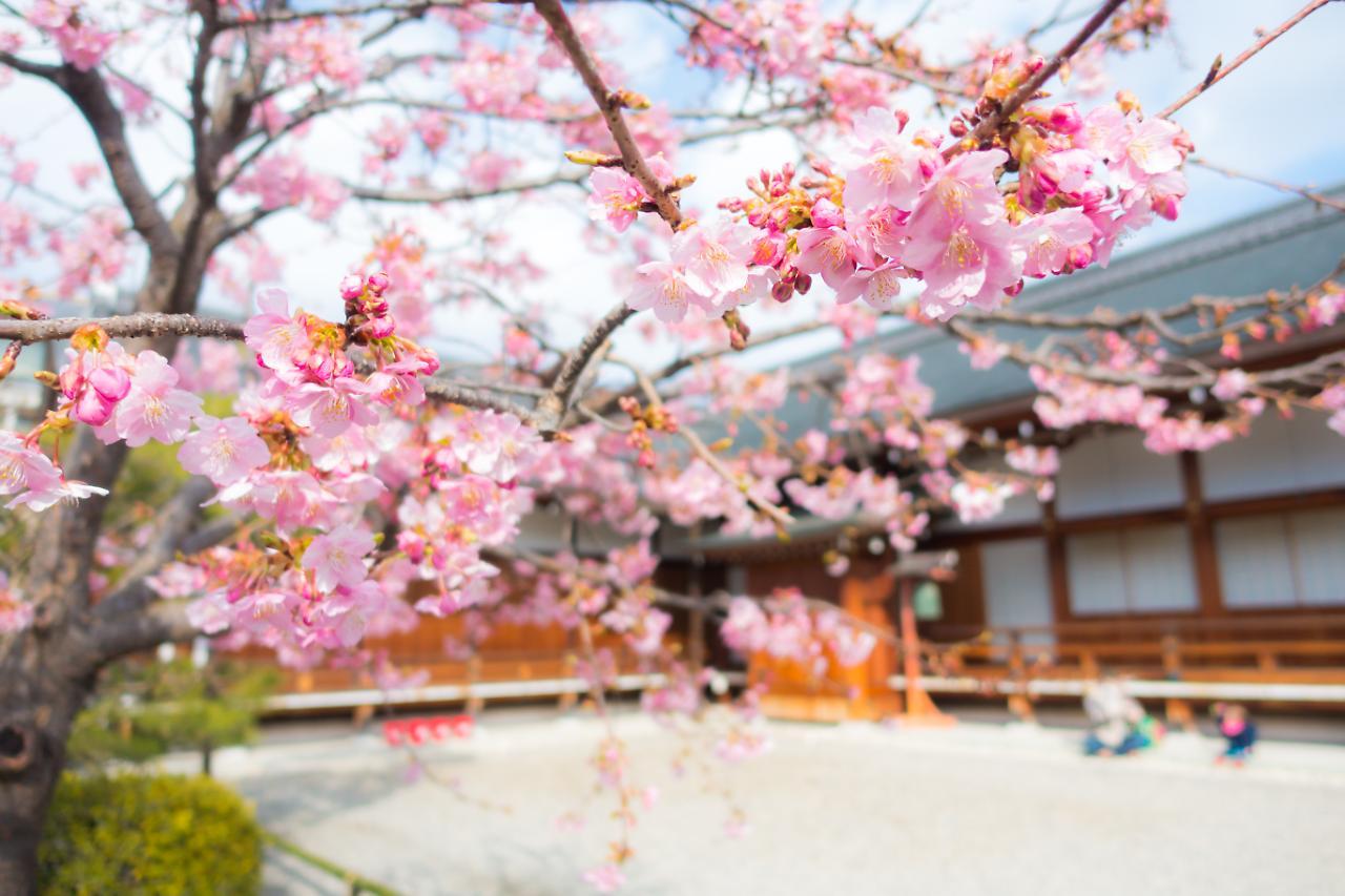 Stay Sakura Kyoto Shijo Karasuma Exterior foto