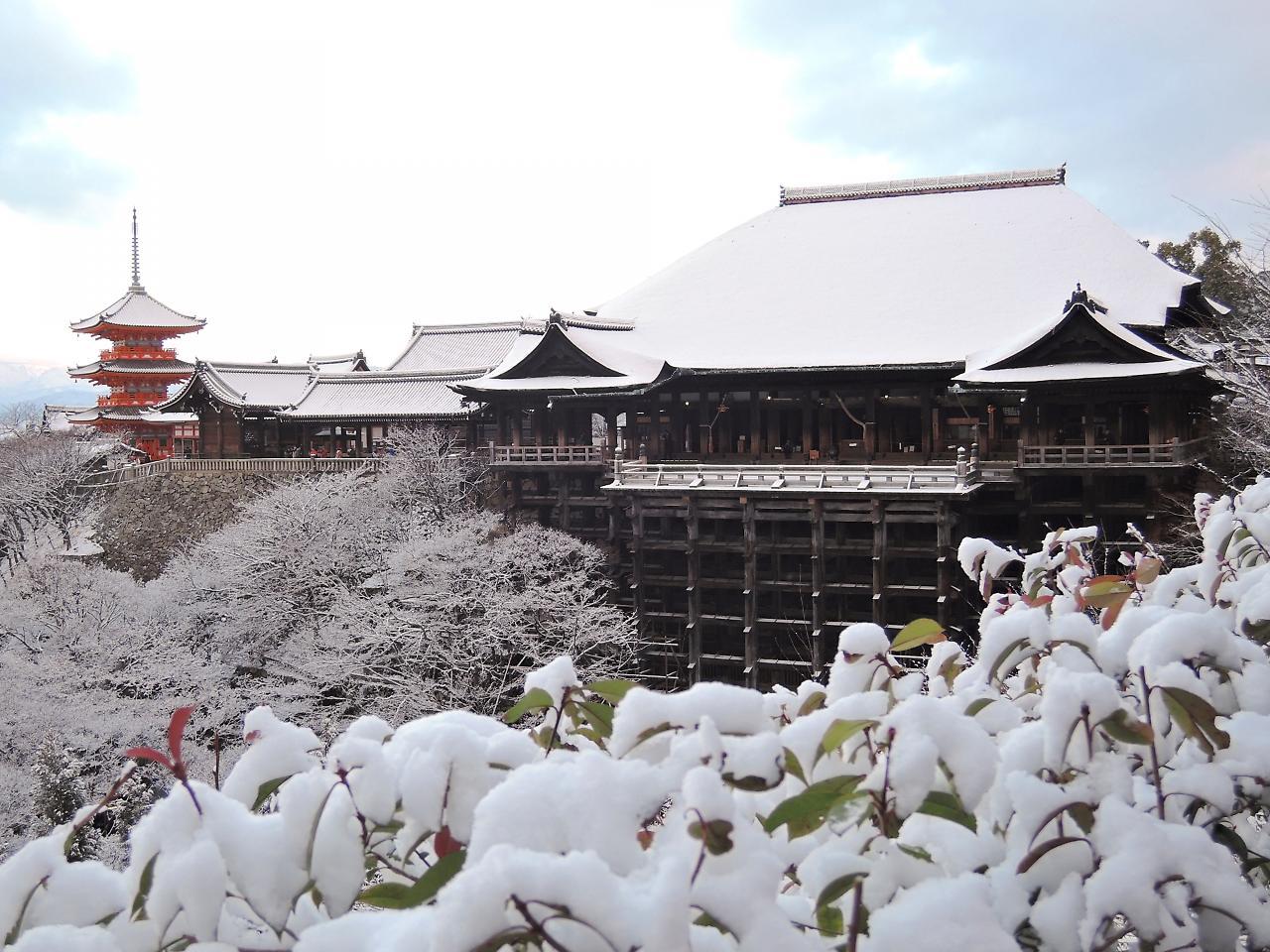 Stay Sakura Kyoto Shijo Karasuma Exterior foto