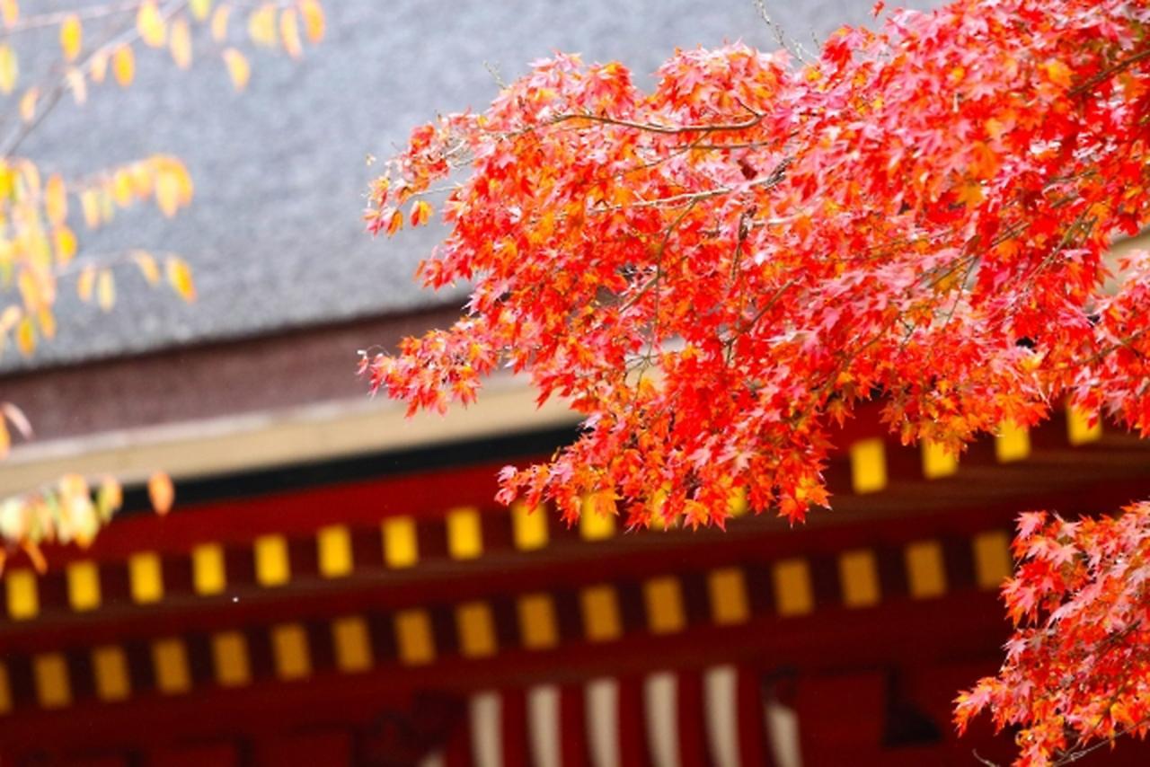 Stay Sakura Kyoto Shijo Karasuma Exterior foto